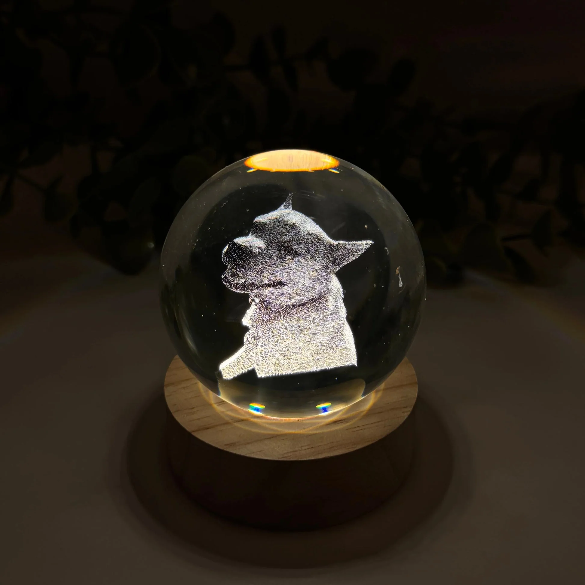Thumbnail 6